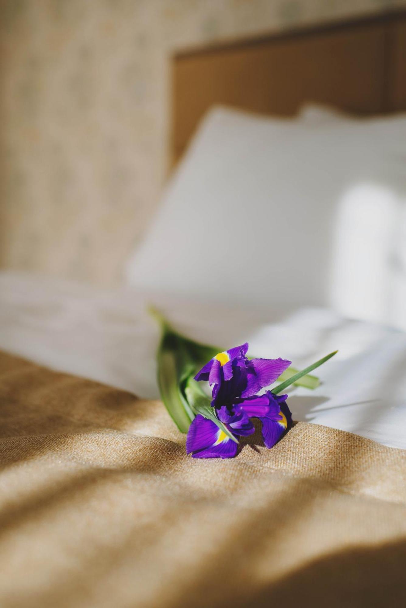Hotel Alkor Truskavets Bilik gambar